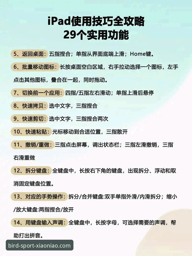 小鸟体育电脑版使用技巧 小鸟体育电脑版操作体验深度评测:从入门到精通的实用技巧