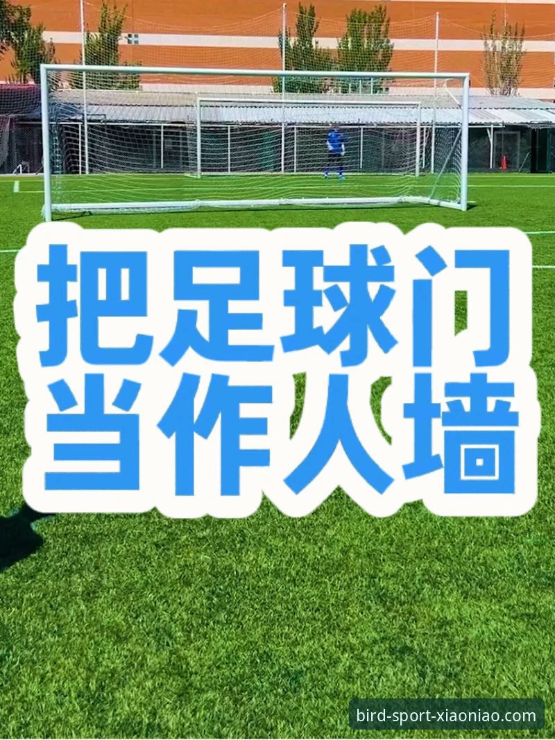 小鸟体育账号注册 vs 传统体育平台：技术评测揭示的五大差异